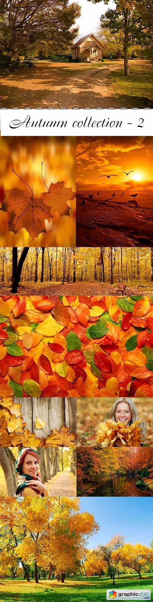 Autumn collection raster graphics - 2