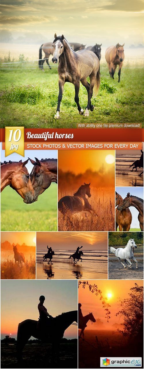 Beautiful horses, 10 x UHQ JPEG