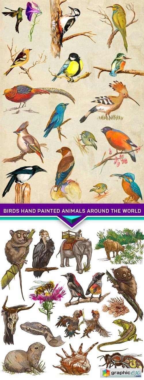 Birds Hand painted Animals around the World 2X JPEG