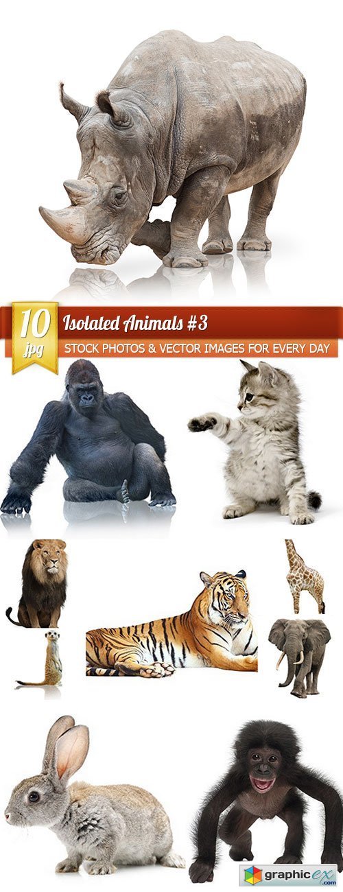 Isolated Animals 3, 10 x UHQ JPEG