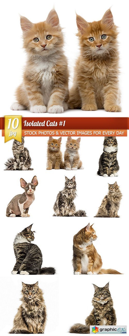 Isolated Cats 1, 10 x UHQ JPEG