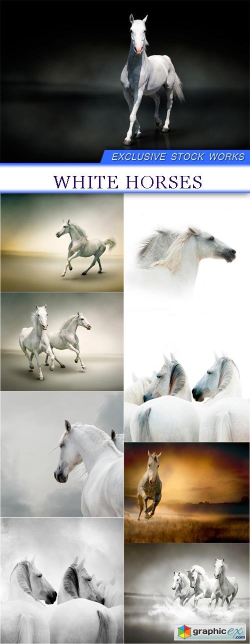 White horses 9X JPEG
