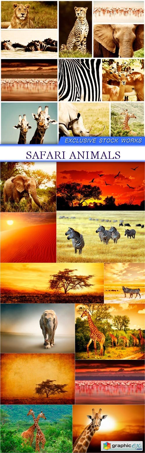 Safari animals 13X JPEG