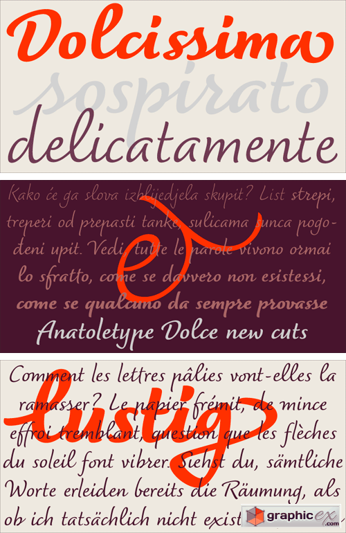  Dolce Font Family 