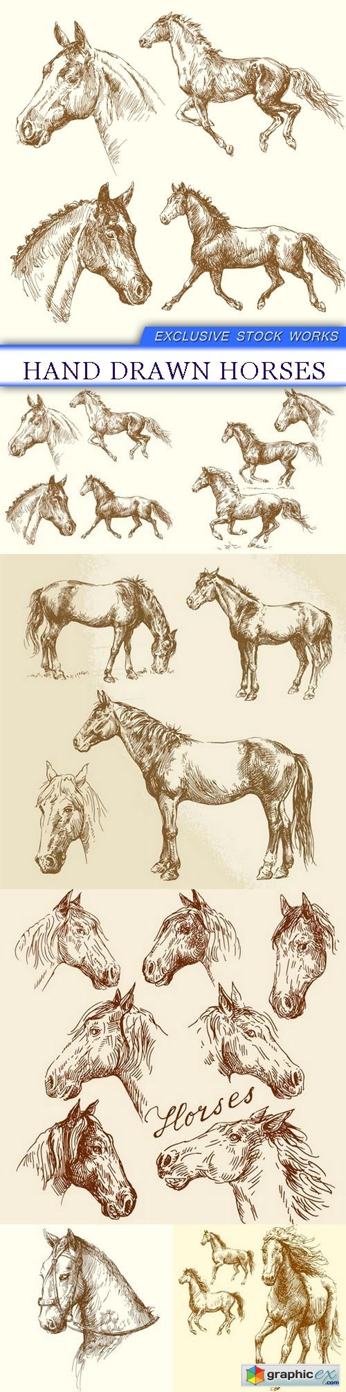 Hand drawn horses 6X EPS
