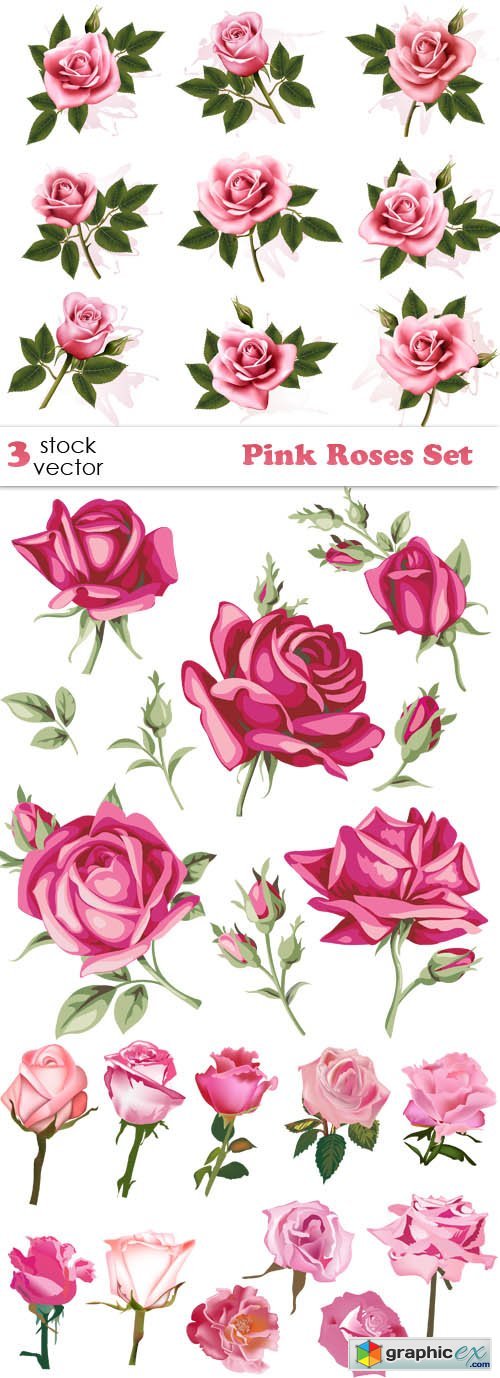 Pink Roses Set