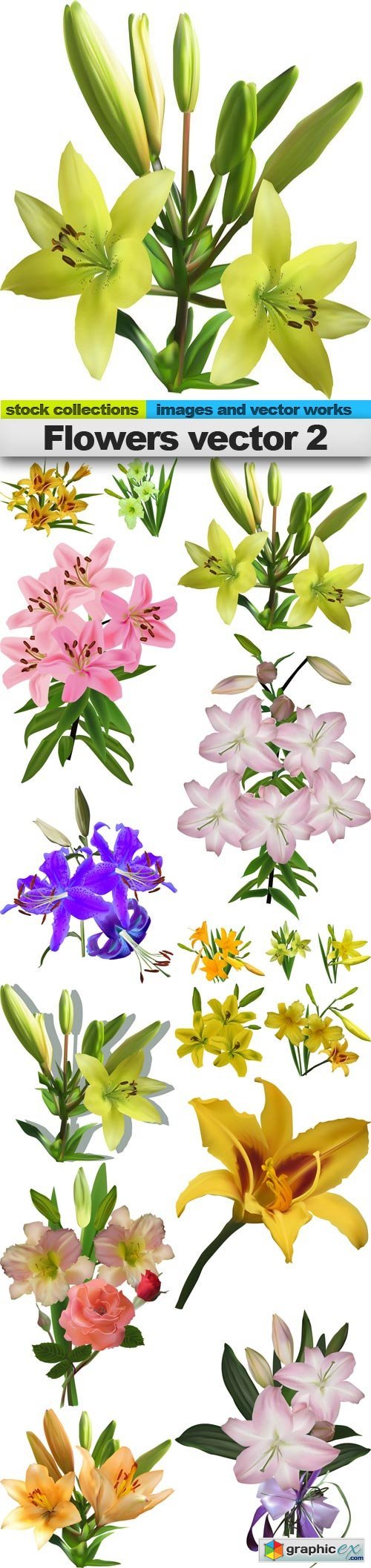 Flowers vector 2, 15 x EPS