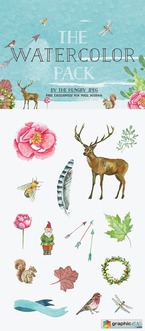 Watercolor Nature & Animals - Transparent Png Elements