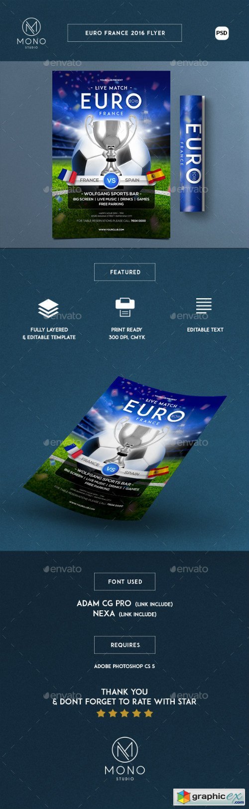 Euro Cup 2016 Flyer