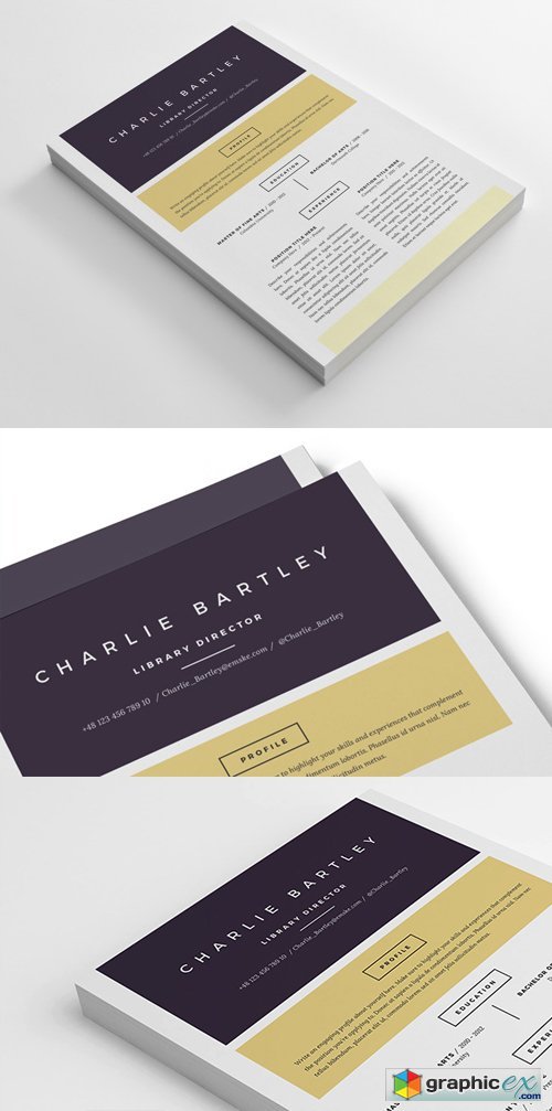Chic Resume Template (PSD, Ms Word)