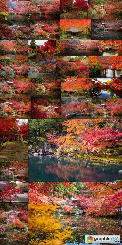 Daigo-ji temple in autumn