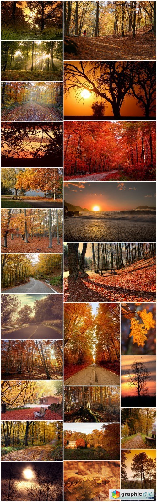 Beautiful autumn forest and landscape - 25xUHQ JPEG