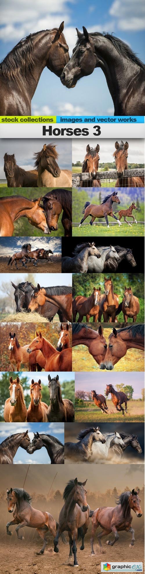 Horses 3, 15 x UHQ JPEG