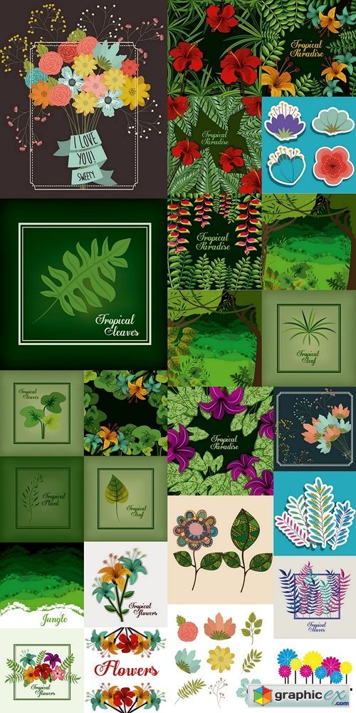Flowers, plants, backgrounds, tropical plants
