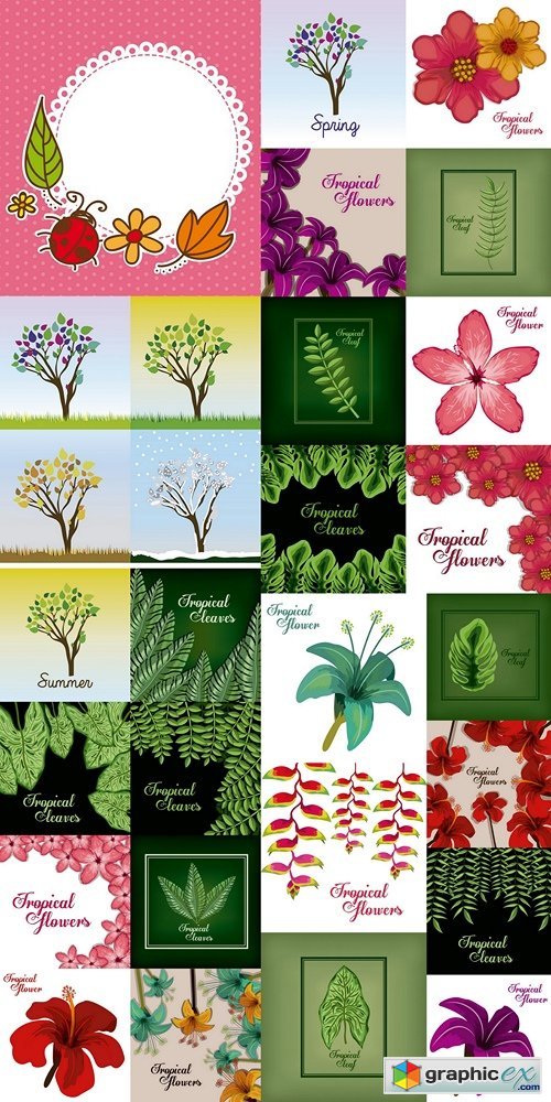 Flowers, plants, backgrounds, tropical plants part 2
