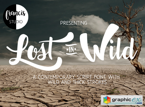 Lost in Wild Font