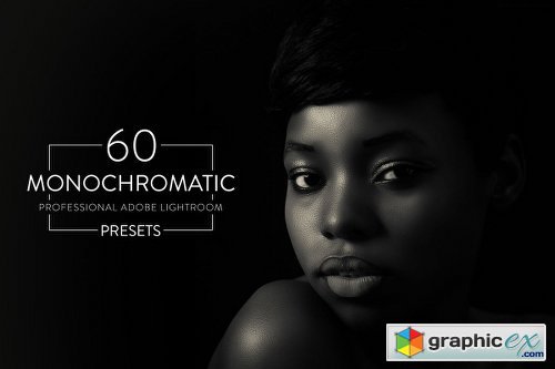 60 Monochromatic - Pro Lightroom Presets