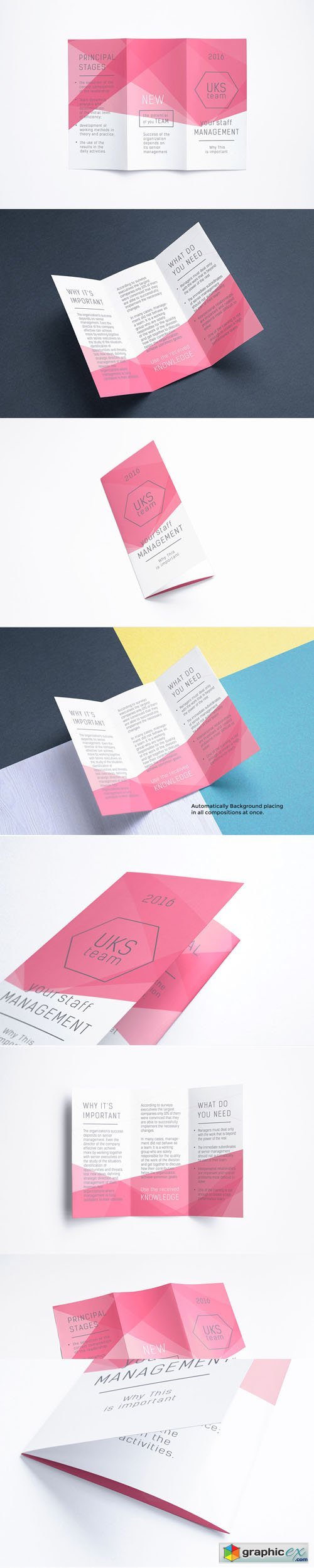 Tri-Fold Brochure / Flyer Mock-Ups V.2