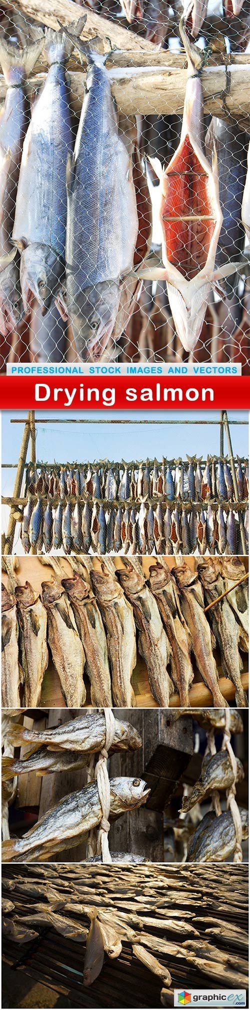 Drying salmon - 5 UHQ JPEG