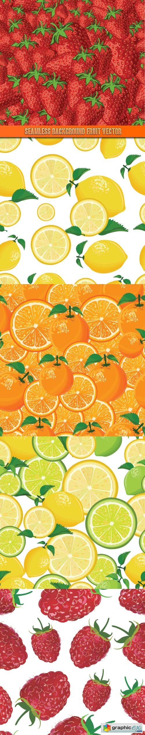 Seamless background fruit vector