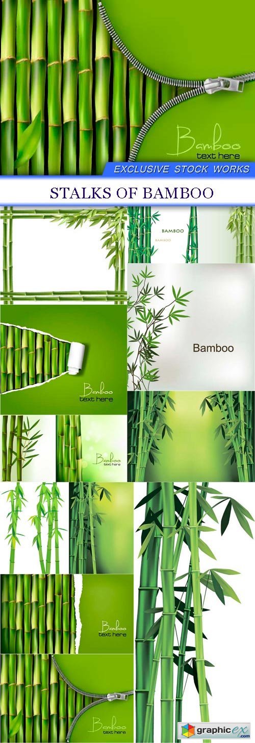 Stalks of bamboo 13X EPS