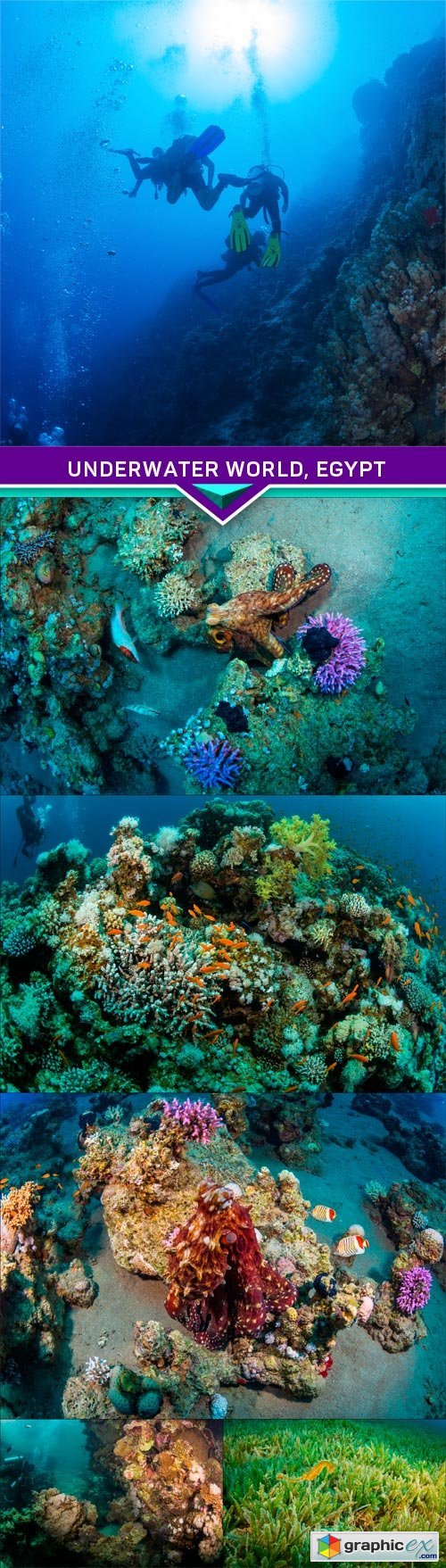 Underwater world, Egypt 6X JPEG