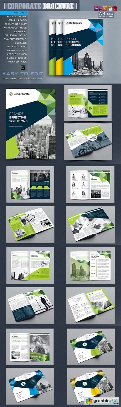 Company Brochure