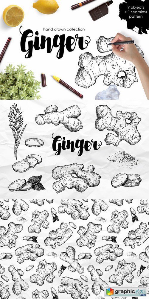Ginger Drawing Set