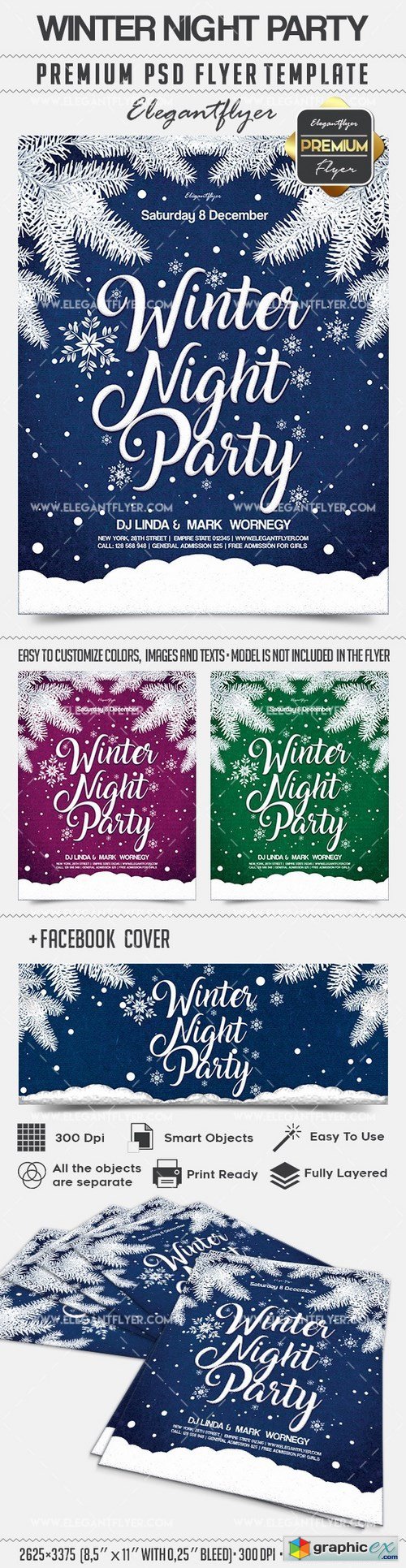 Winter Night Party  Flyer PSD Template + Facebook Cover