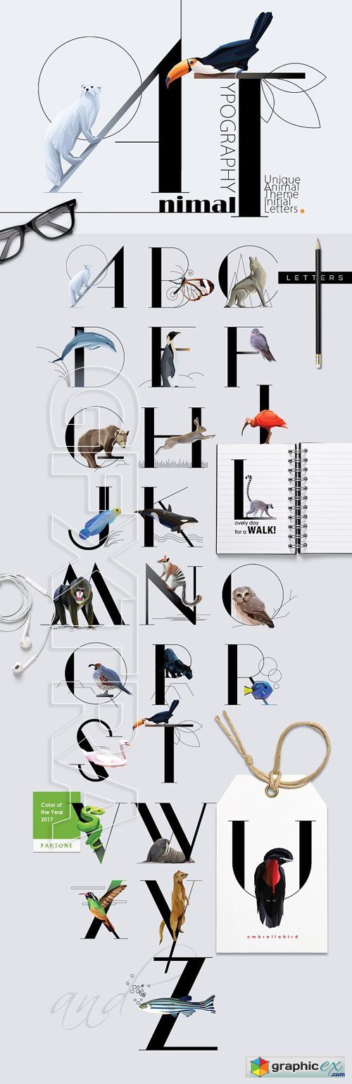Animal Typography