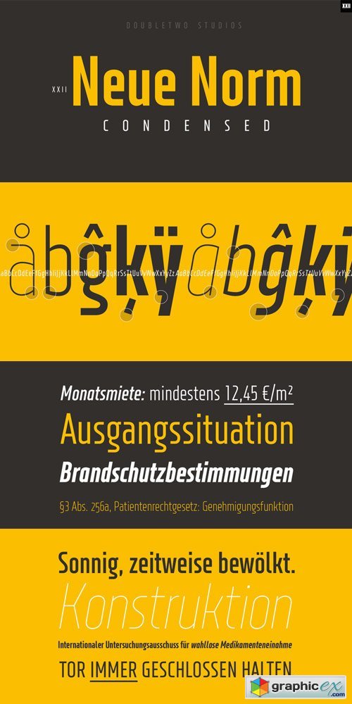 XXII Neue Norm Font Family