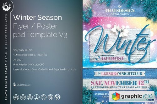 Winter Season Flyer Template V3