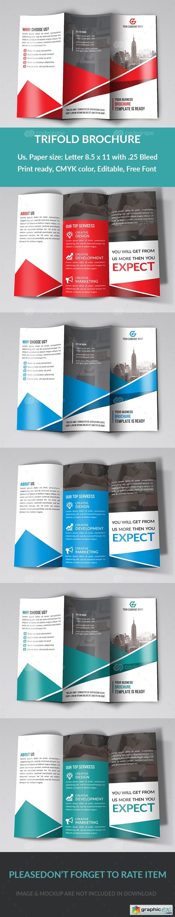 Trifold Brochure 9909