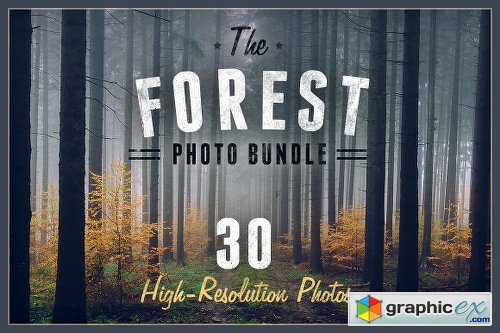 The Forest Photo Bundle - 30 Photos