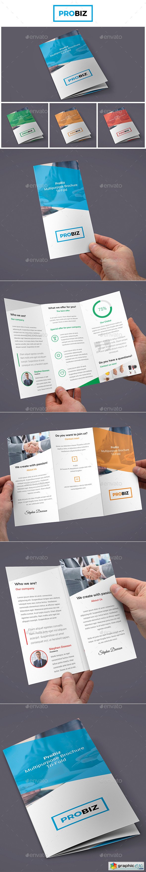 ProBiz  Business and Corporate Brochure Tri-Fold