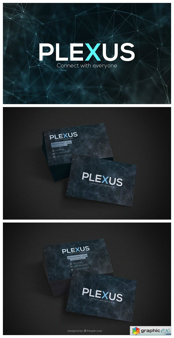 Plexus Business Card Bundle