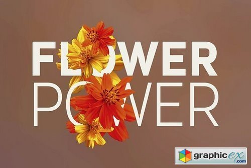 Flower Power - Photos & Graphics