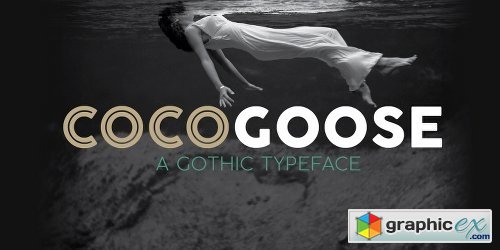 Cocogoose Pro Font Family - 17 Fonts