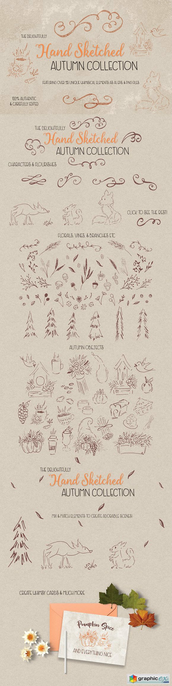 Hand Sketched Autumn Elements
