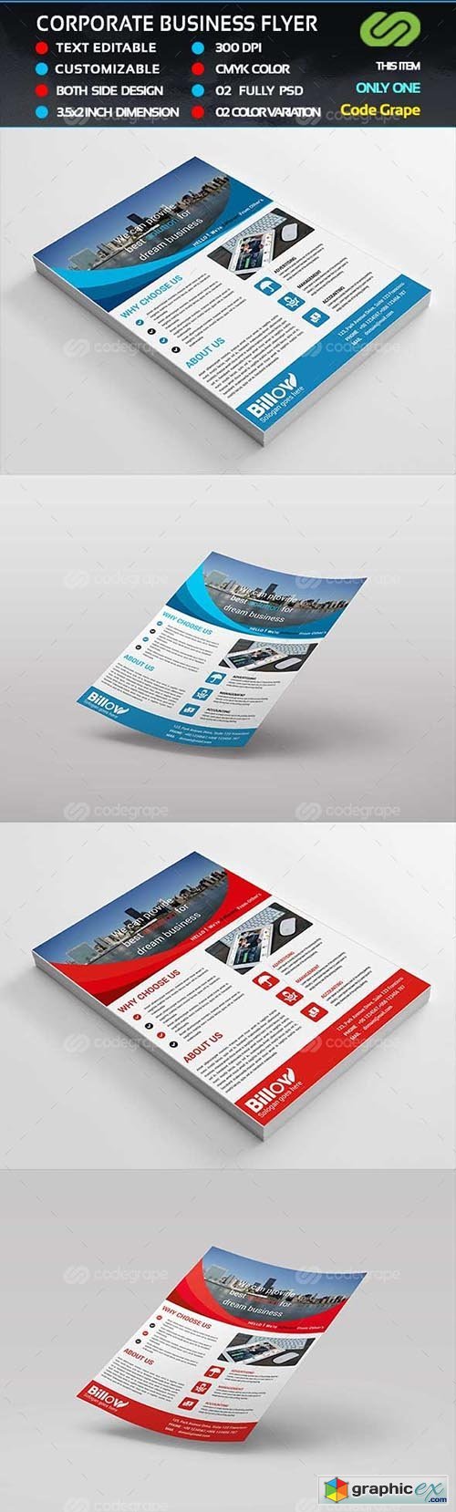 Corporate Business Flyer 11760