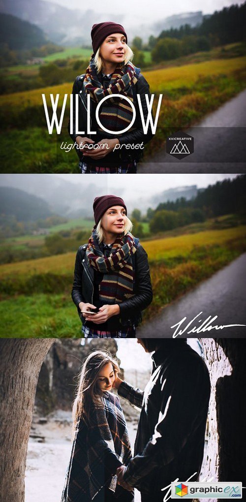 Willow | LR Preset