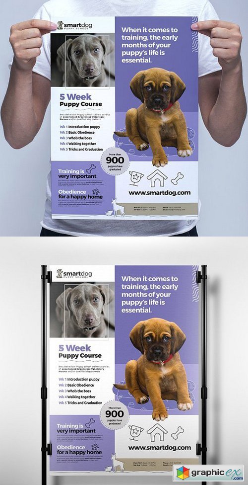 A3 Puppy School Poster Template