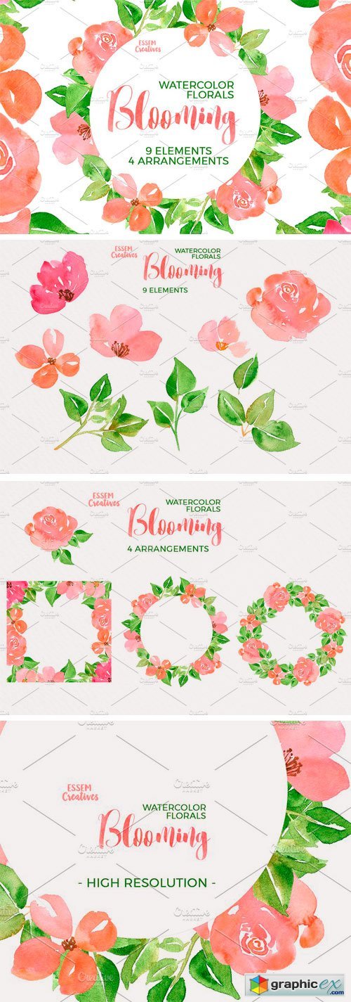 Watercolor Flowers - Spring Peonies