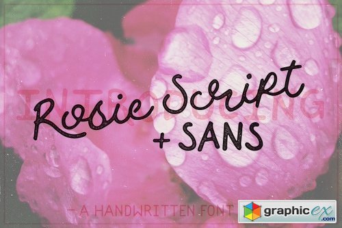Rosie Script