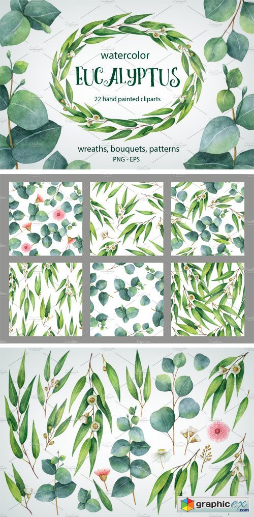 Watercolor Eucalyptus