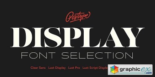 Positype Display Font Collection Font Bundle - 16 Fonts