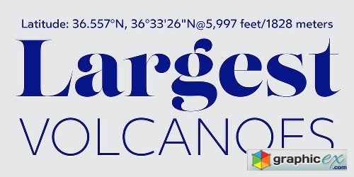 Positype Display Font Collection Font Bundle - 16 Fonts