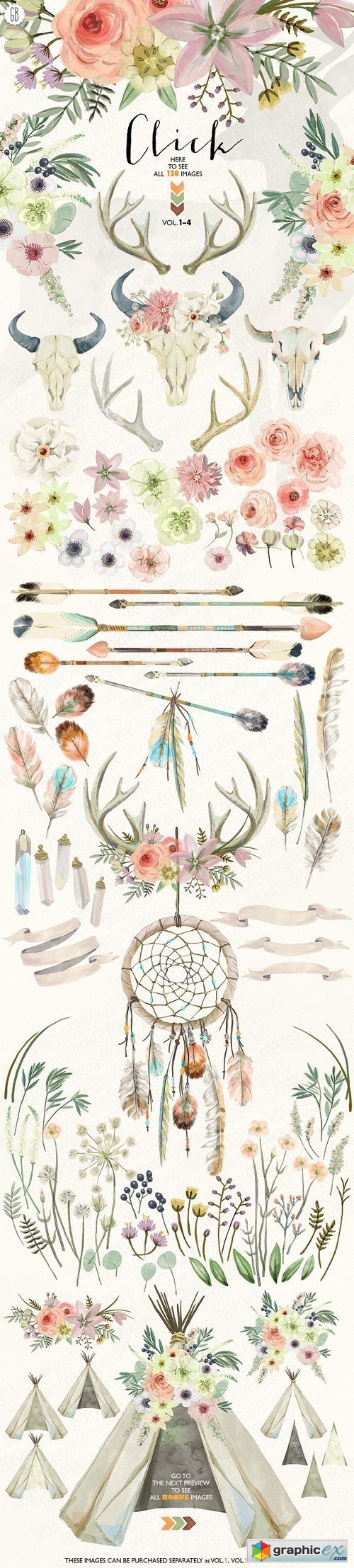 Wild watercolor collection
