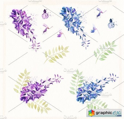 Watercolor Flowers Wisteria