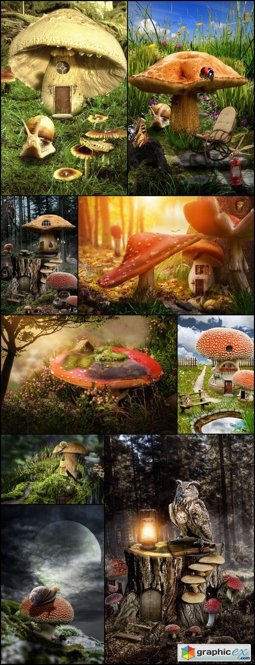 Mushroom fairy house 9X JPEG
